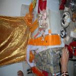 Vraj-Yatra-2014- (1782)